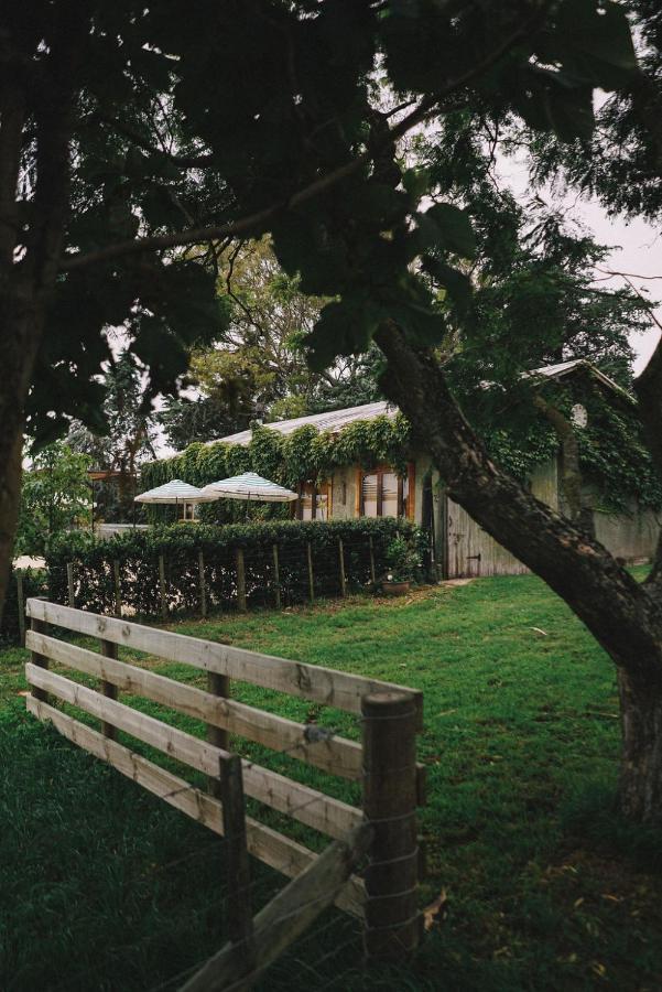 Converted Barn - Tiger House Hermitage Havelock North Bagian luar foto